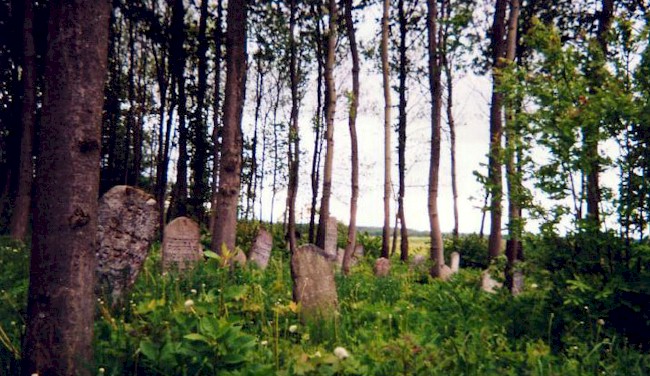 Žydų kapinės Klaipėdos gatvėje (Žemaičių Naumiestis)