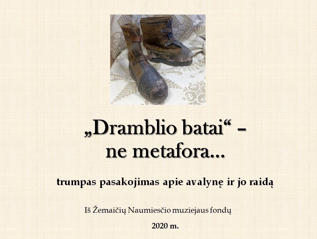 Virtuali paroda „„Dramblio batai“ – ne metafora…“